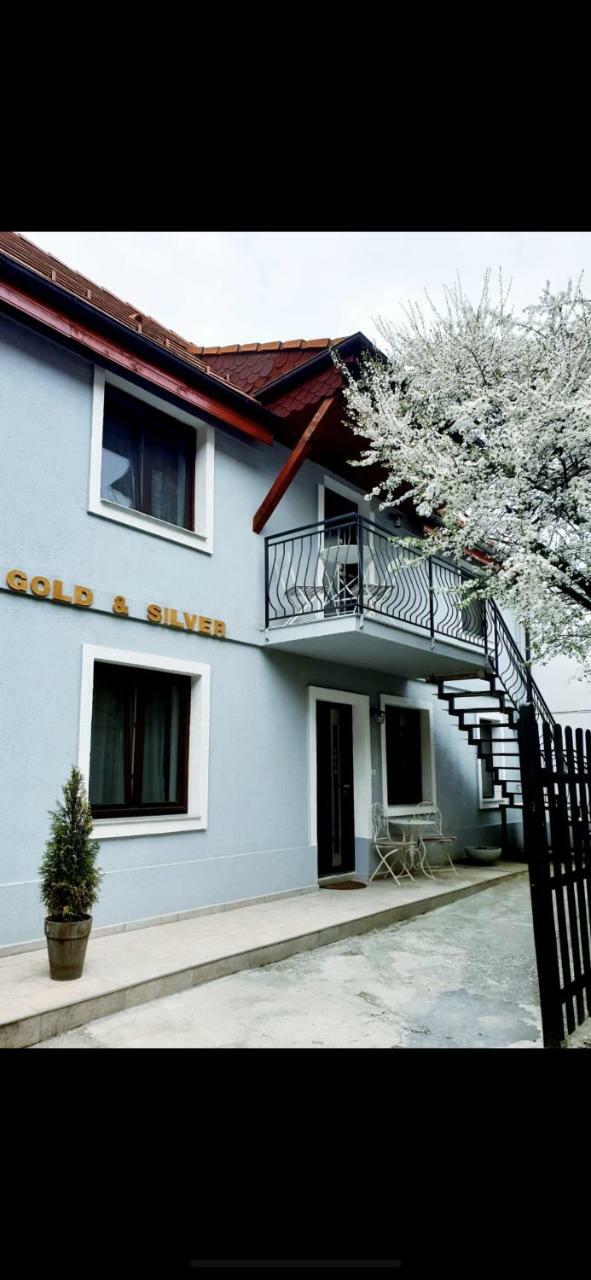 For You Apartments Gold & Silver Sibiu Extérieur photo